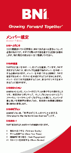 M356:メンバー規定書Ver,4.0.0 100部