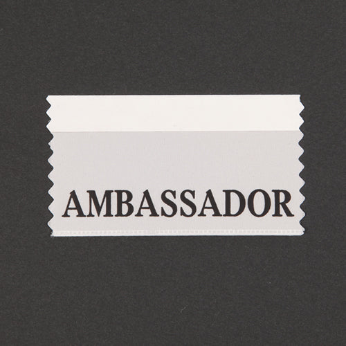 R045:AMBASSADOR 1枚
