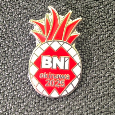 P373:NC2025ピンバッヂ 1個
